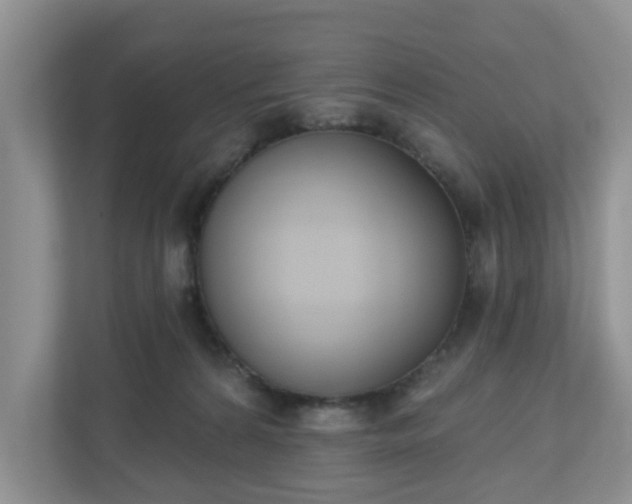X0000110900224200906251344