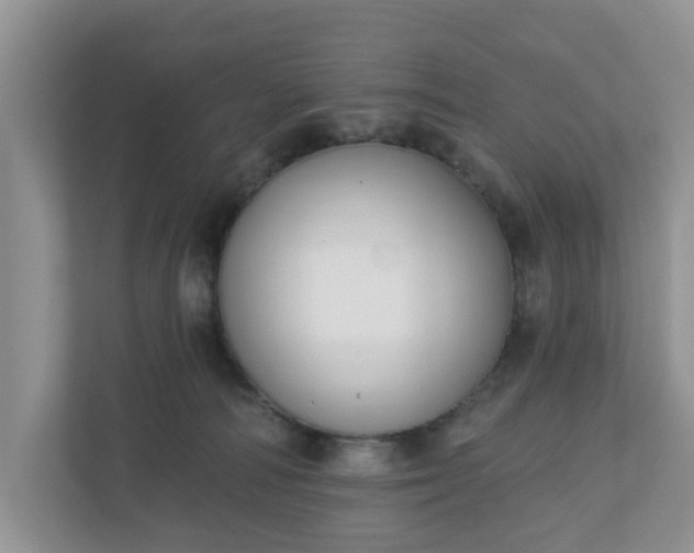 X0000110900226200906251344