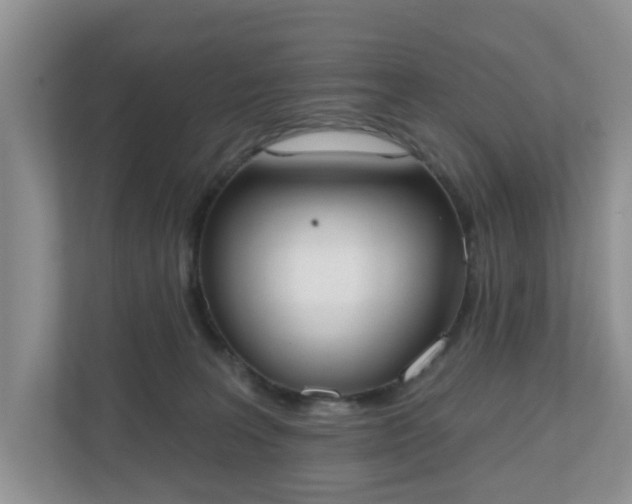 X0000110900227200906251344