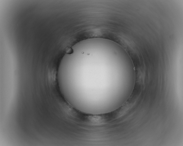 X0000110900230200906251344