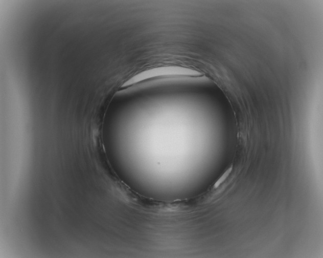 X0000110900235200906251344