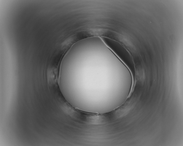 X0000110900237200906251344