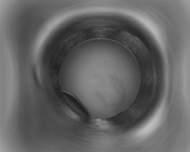 X0000110900239200906251344