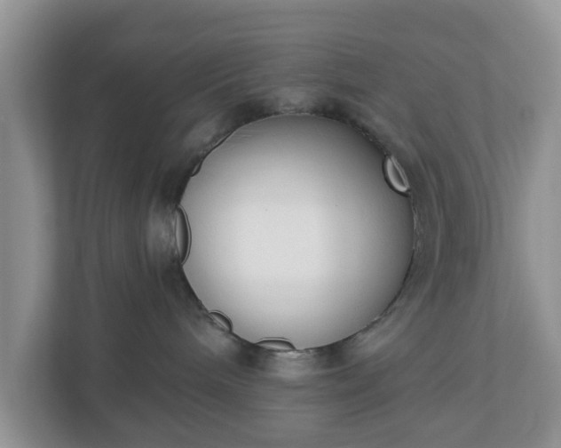 X0000110900240200906251344