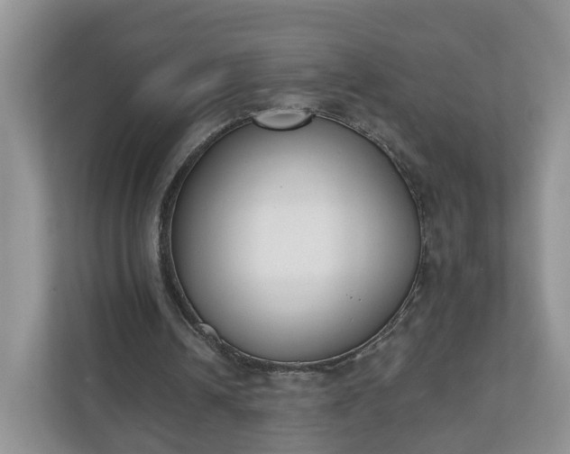 X0000110900242200906251343