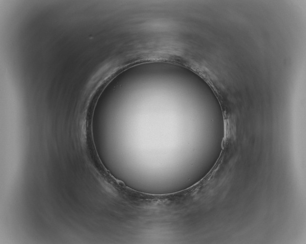 X0000110900243200906251343