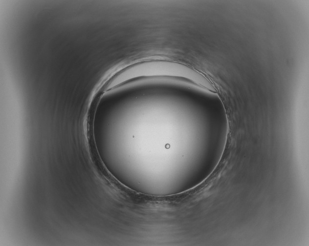 X0000110900244200906251343