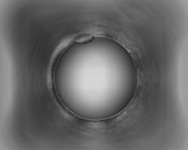 X0000110900245200906251343