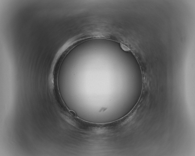 X0000110900246200906251343