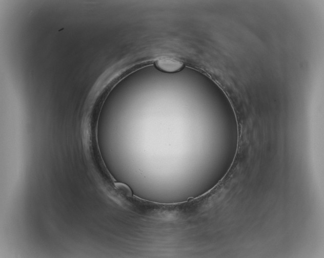 X0000110900247200906251343