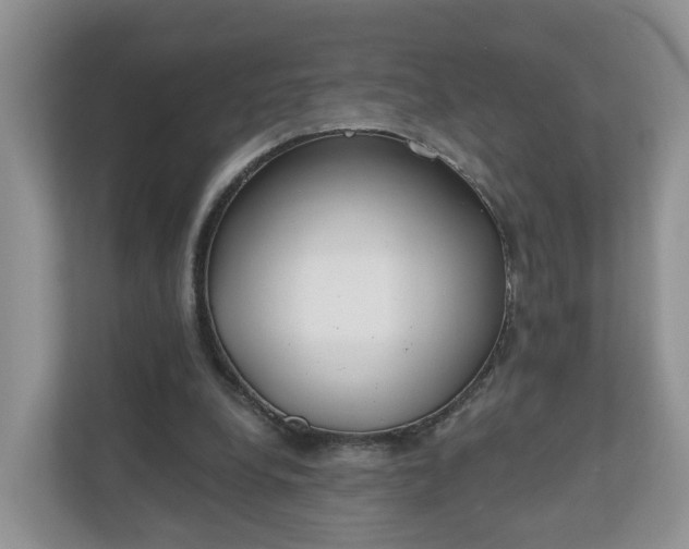 X0000110900248200906251343