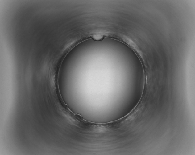 X0000110900249200906251343