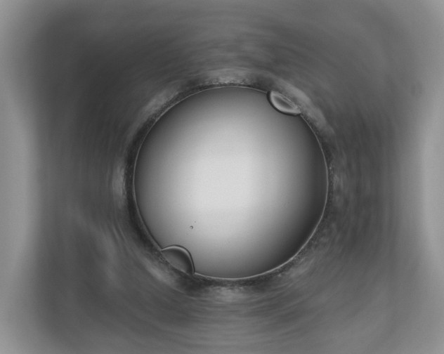 X0000110900250200906251343