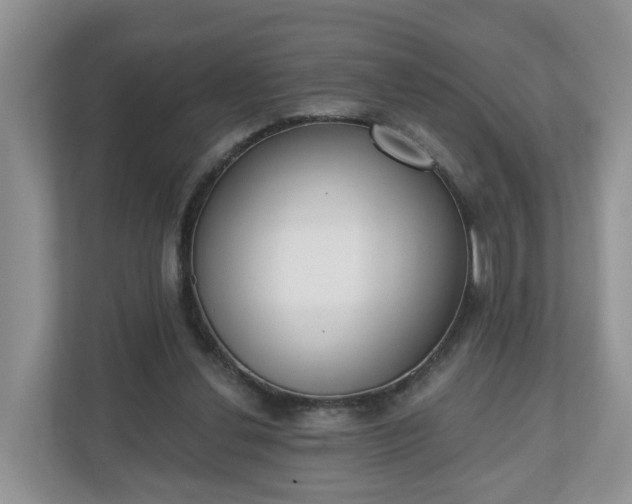 X0000110900252200906251343