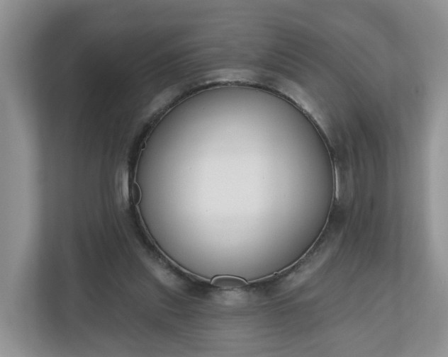X0000110900253200906251343
