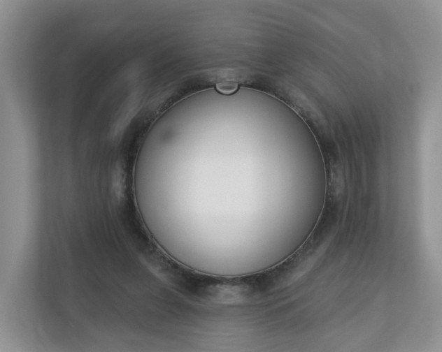 X0000110900255200906251343