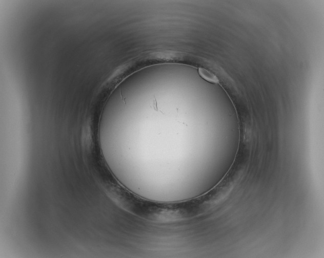 X0000110900256200906251343