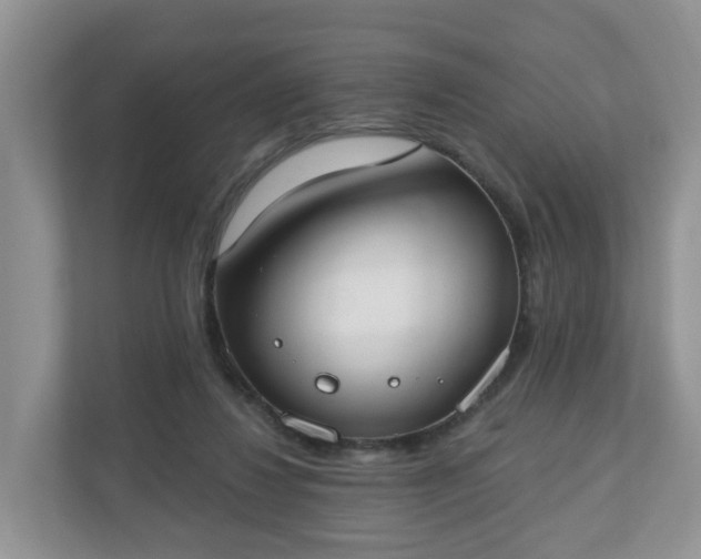 X0000110900260200906251343
