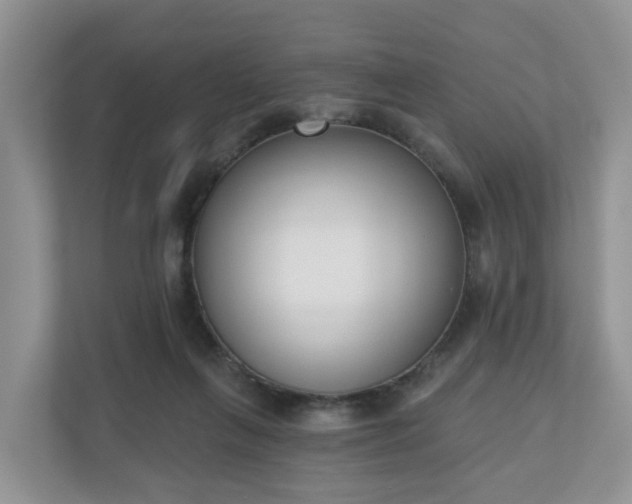 X0000110900263200906251343