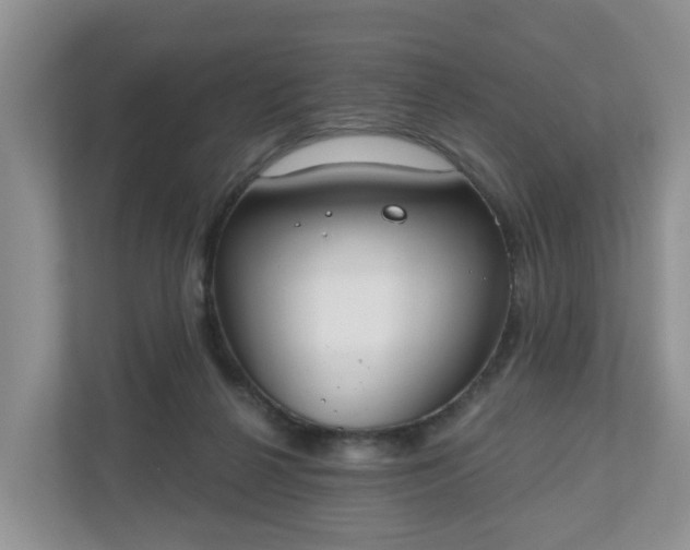 X0000110900264200906251343