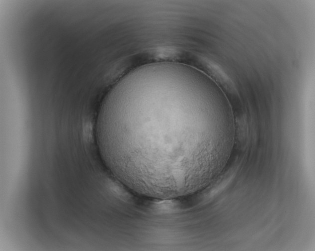 X0000110900269200906251343