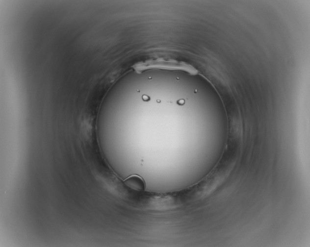 X0000110900271200906251343