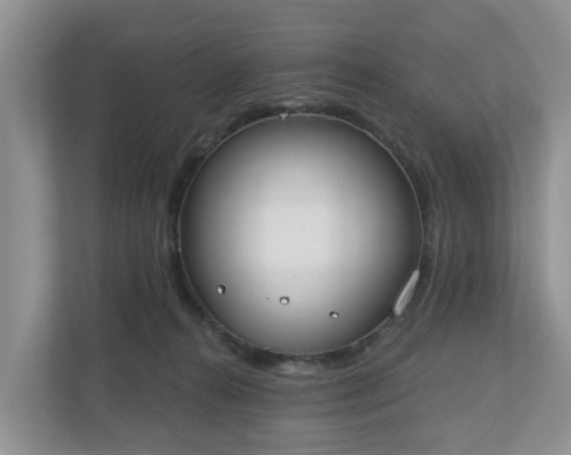 X0000110900272200906251343