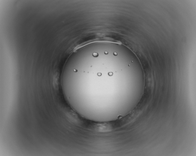 X0000110900275200906251343