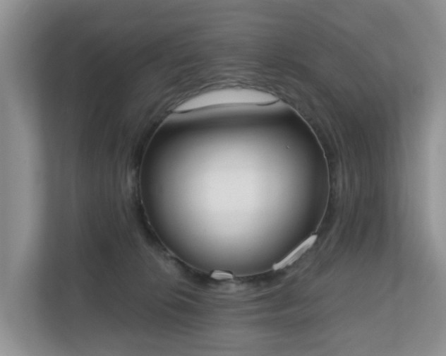 X0000110900276200906251343
