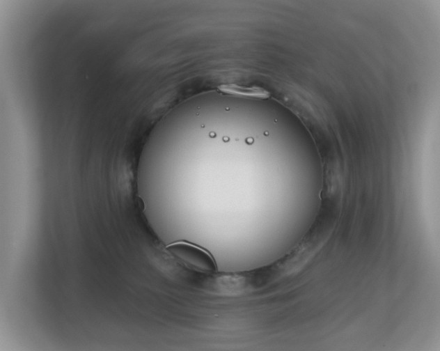 X0000110900279200906251343