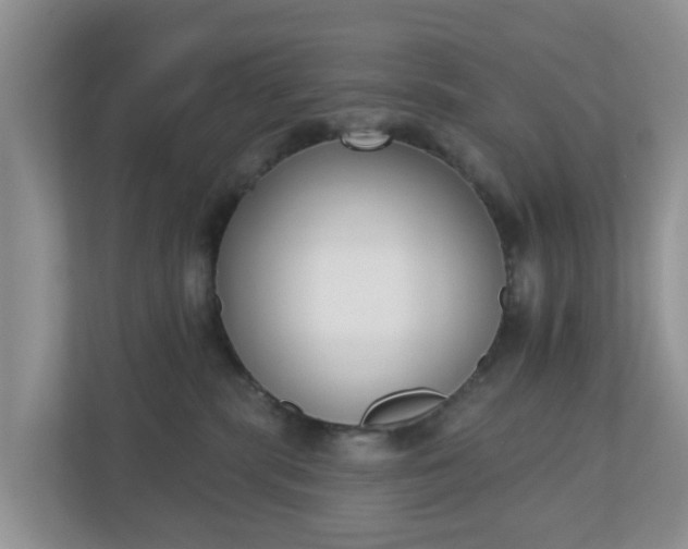 X0000110900283200906251343