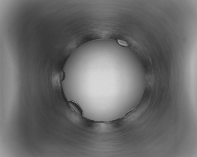 X0000110900286200906251344