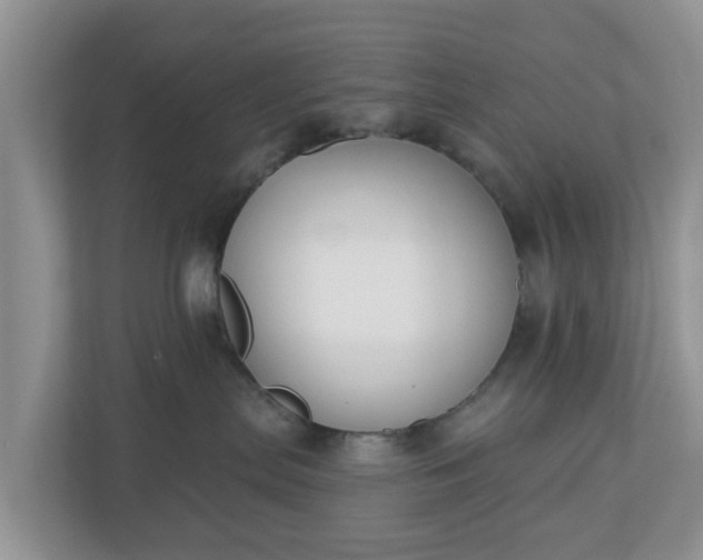 X0000110900287200906251344