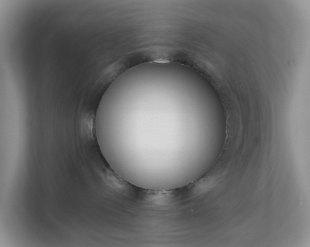 X0000110900288200906251344