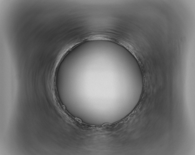 X0000110900289200906251343