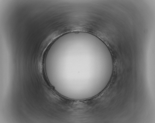 X0000110900290200906251343