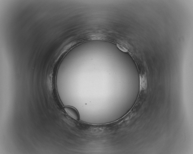 X0000110900291200906251343