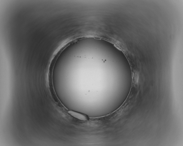 X0000110900292200906251343