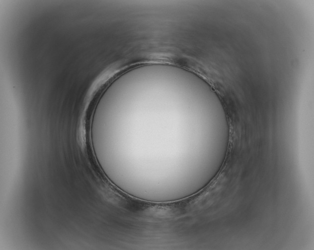 X0000110900294200906251343