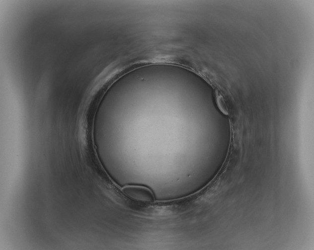 X0000110900295200906251343