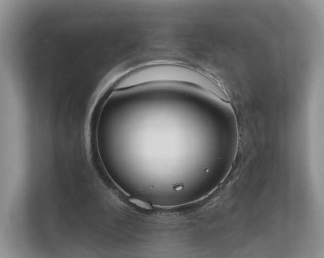 X0000110900296200906251343