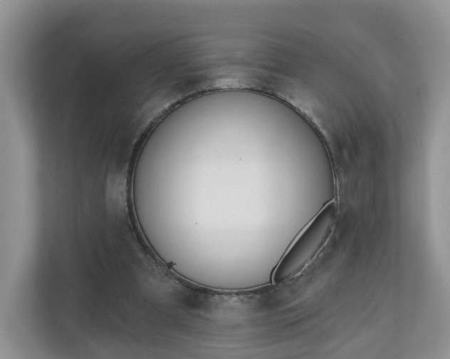 X0000110900297200906251343