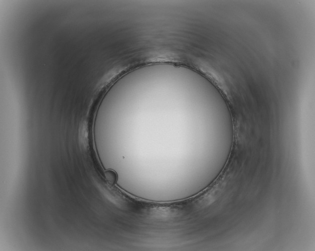 X0000110900298200906251343