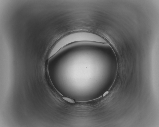 X0000110900299200906251343