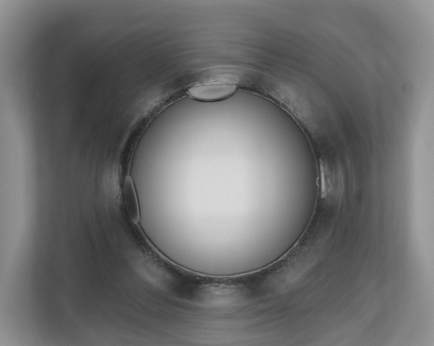 X0000110900300200906251343