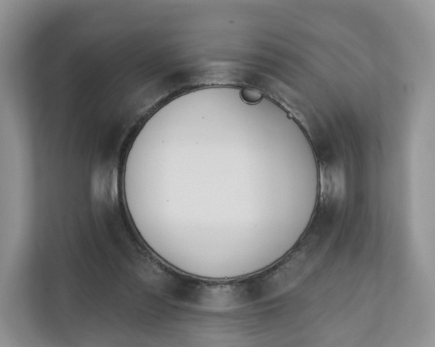 X0000110900301200906251343