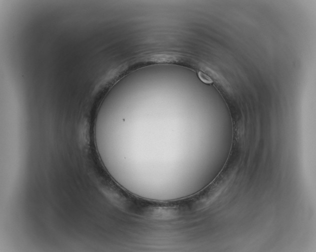 X0000110900303200906251343