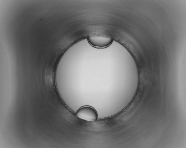 X0000110900305200906251343