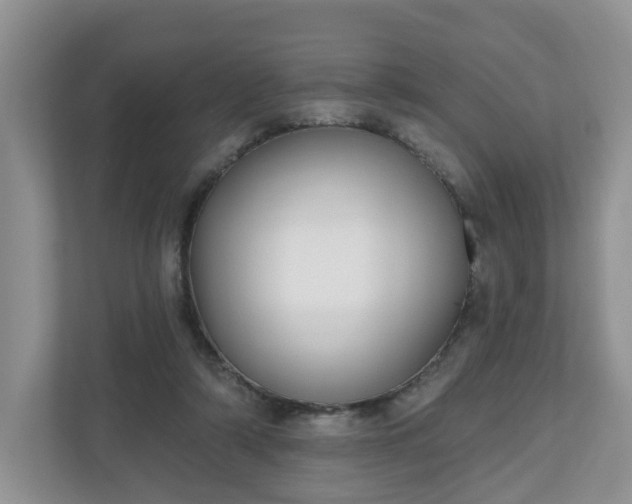 X0000110900306200906251343