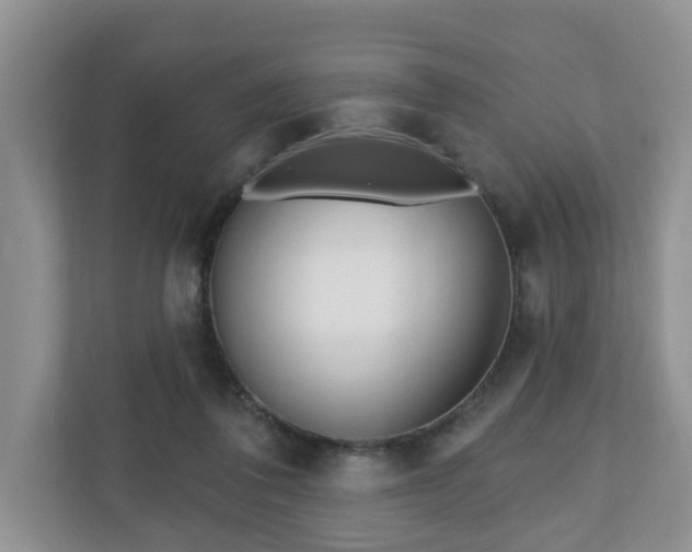 X0000110900308200906251343